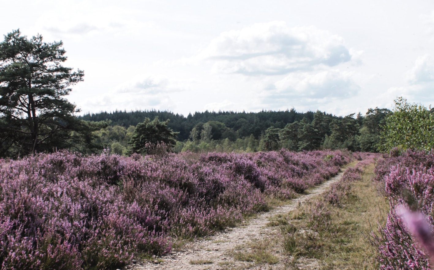 pexels-jasmijn-van-der-maaten-9481036